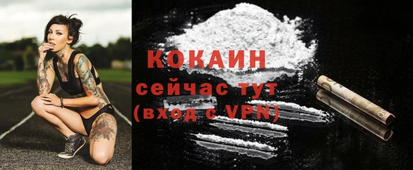 эйфоретик Дмитриев
