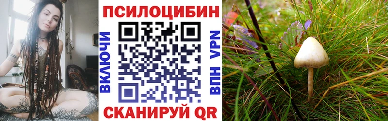 Галлюциногенные грибы GOLDEN TEACHER Славянск-на-Кубани