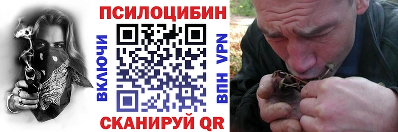 купить наркотик Славянск-на-Кубани Галлюциногенные грибы Magic Shrooms