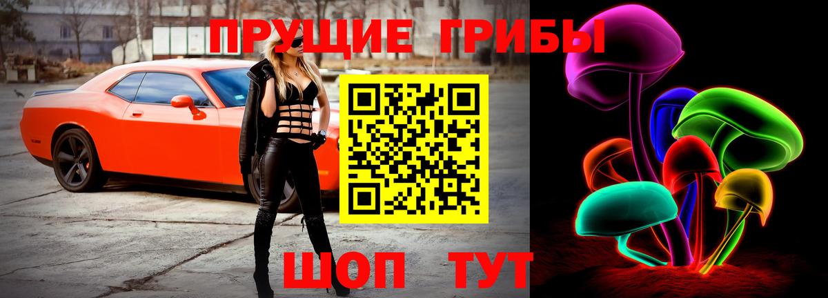 Галлюциногенные грибы Psilocybe Славянск-на-Кубани
