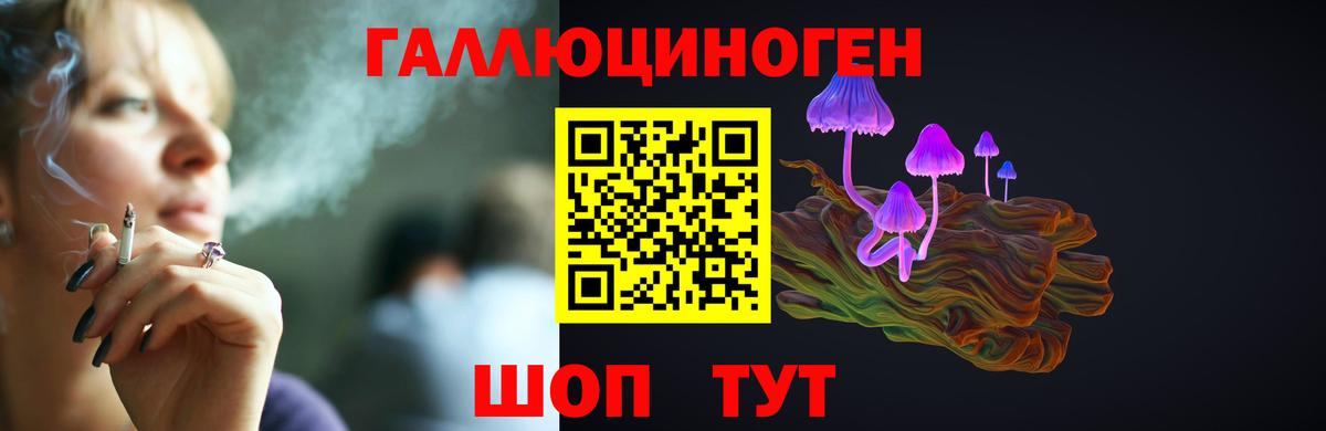 Славянск-на-Кубани  Галлюциногенные грибы Cubensis  Вход с VPN 